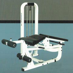 Leg Curl Machine Manufacturer Supplier Wholesale Exporter Importer Buyer Trader Retailer in Mumbai Maharashtra India